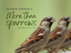 Solomon Johnson O – More Than Sparrows E.P